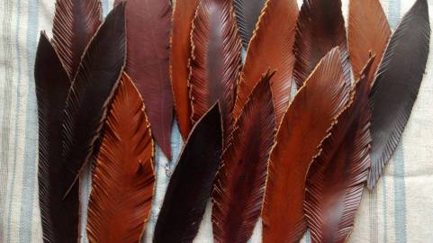 leatherfeathers